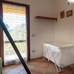 Alea Panoramica *