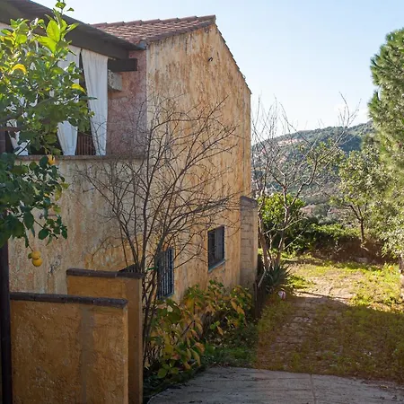 Alea Panoramica *
