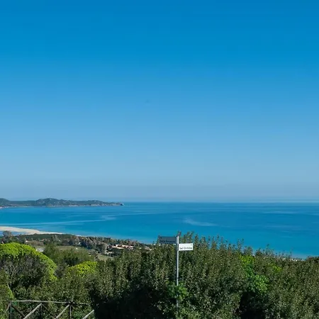 Alea Panoramica *